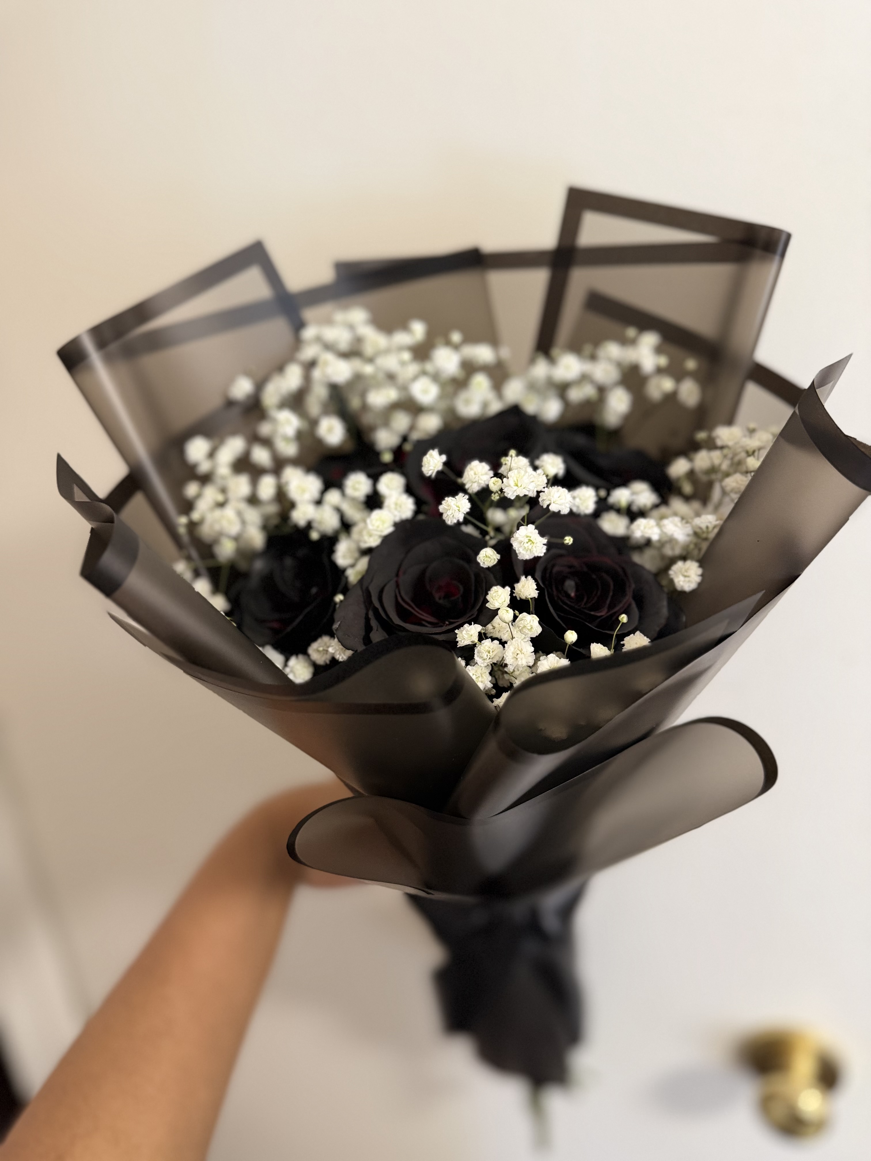 Midnight roses